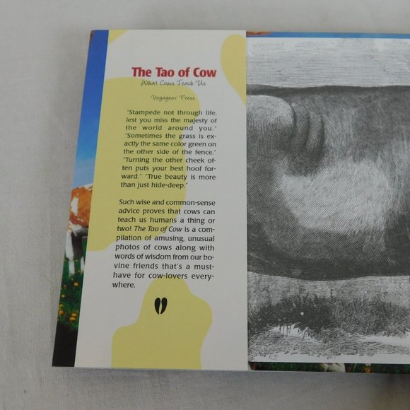 The Tao of Cow What Cows Teach Us by Dolly Mu Hardback Dust Jacket Illustrated - Picture 3 of 12